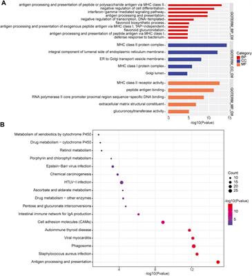 Whole-Genome/Exome Sequencing Uncovers Mutations and Copy Number Variations in Primary Diffuse Large B-Cell Lymphoma of the Central Nervous System